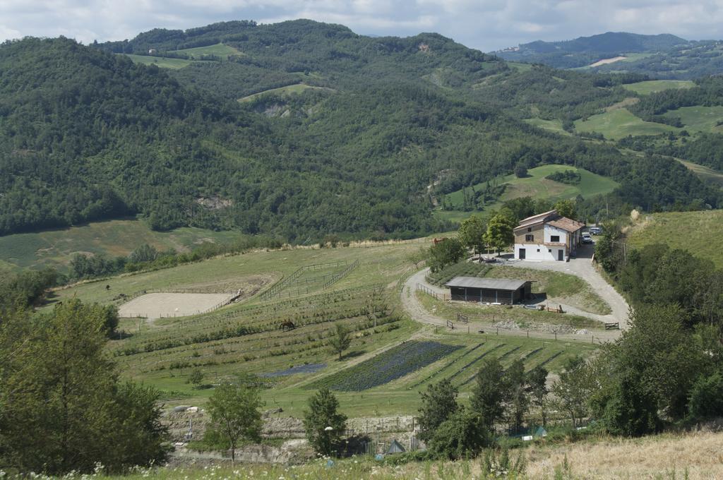 B&B Villa Rossana Langhirano Exterior foto
