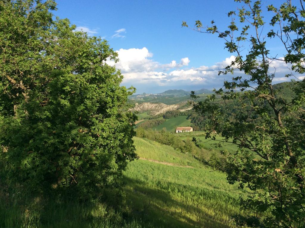 B&B Villa Rossana Langhirano Exterior foto