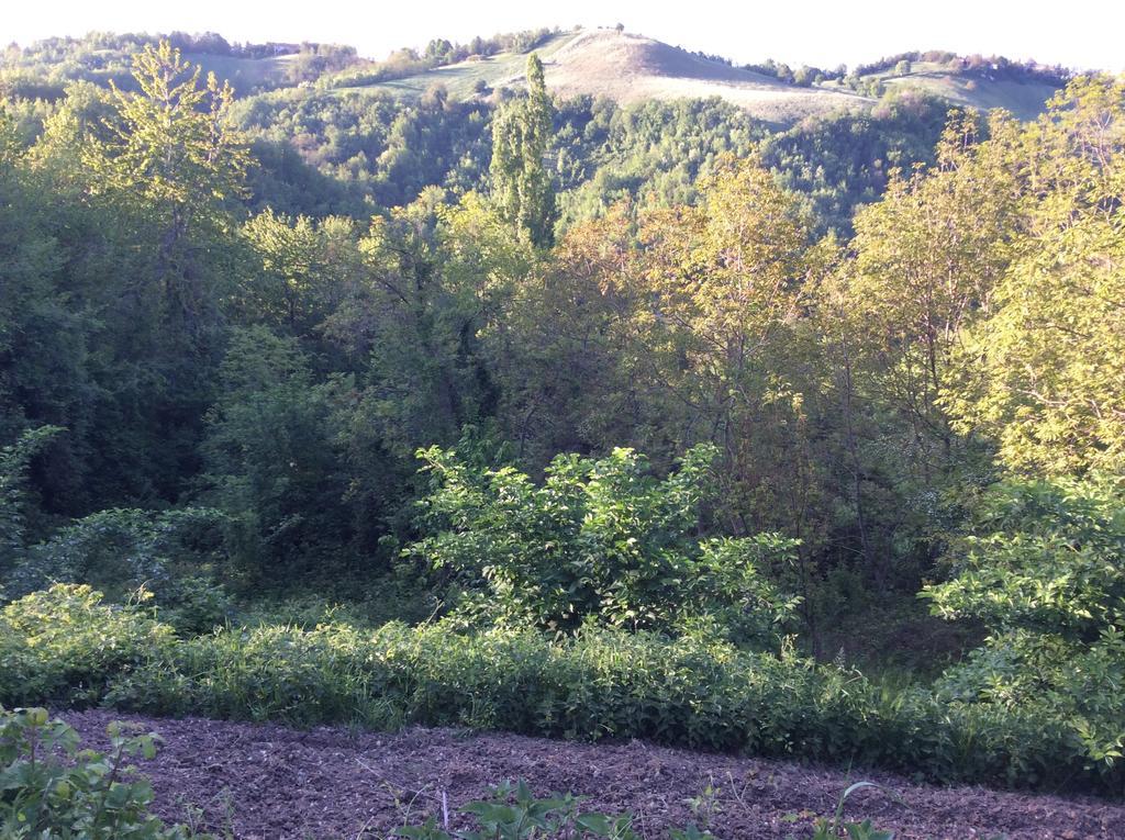 B&B Villa Rossana Langhirano Exterior foto